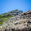 ZAF WC CapePoint 2016NOV14 CapeOfGoodHope 015 : 2016, 2016 - African Adventures, Africa, November, South Africa, Southern, Western Cape, Cape Point, Cape Peninsula, Cape Town, Cape Of Good Hope